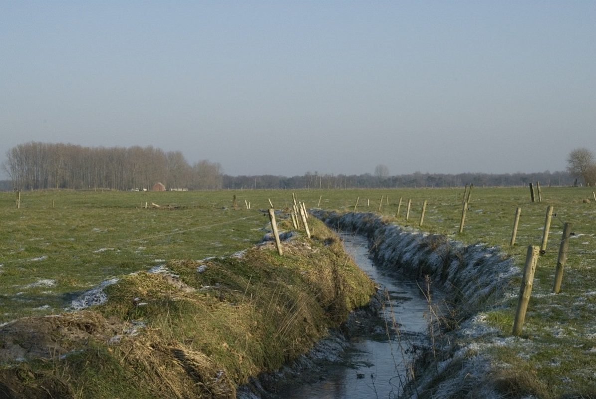 Merksplas - Koekhoven - Zandvenheide 3 - Saxifraga-Willem van Kruijsbergen // __ Rocket Copywriting //
