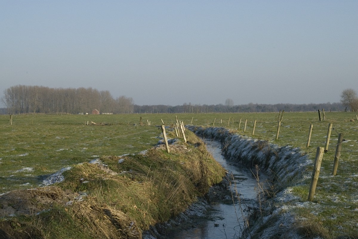 Merksplas - Koekhoven - Zandvenheide 3 - Saxifraga-Willem van Kruijsbergen // __ Rocket Copywriting //
