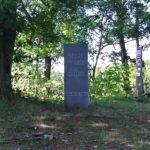 Interview // “De Liereman: minder bos, meer heide (en veen) 🌳 // posted by __ Rocket Copywriting //