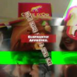 Côte d'Or - Elephantly Approved (rocketvertisementised - videospace) // created by __ Rocket Copywriting //